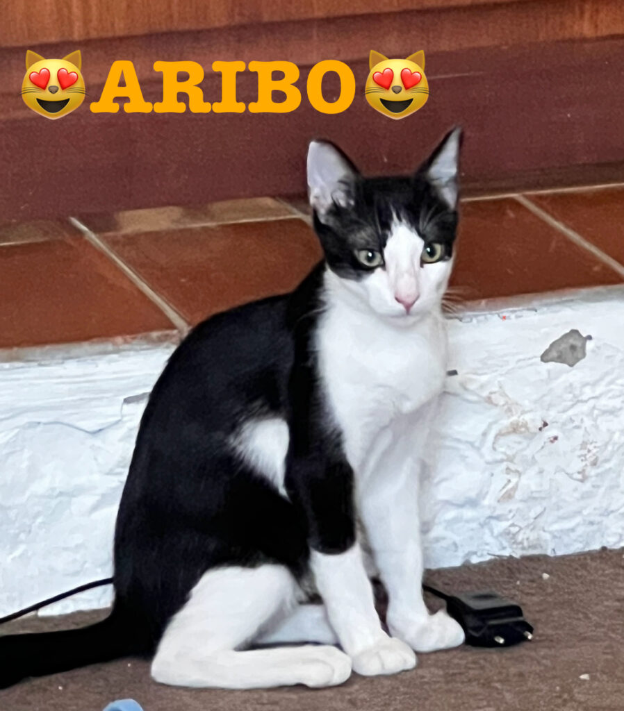 ARIBO
