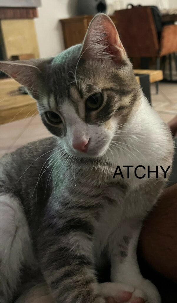 ATCHY