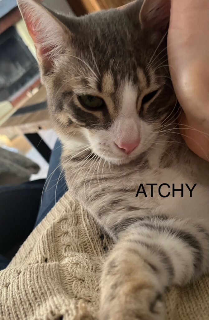 ATCHY