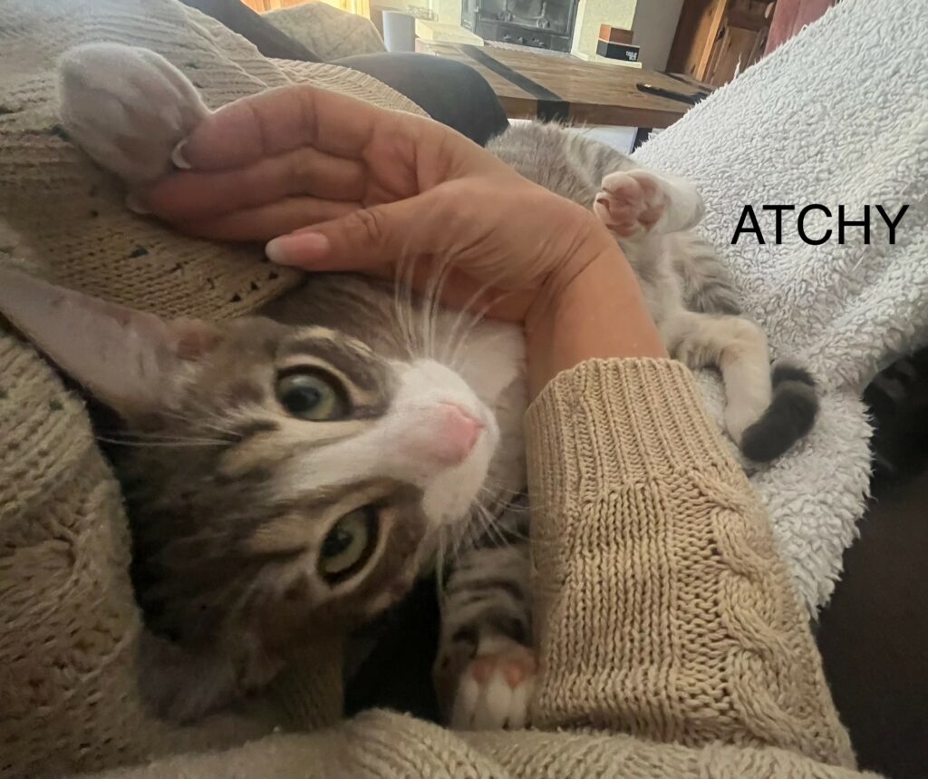 ATCHY