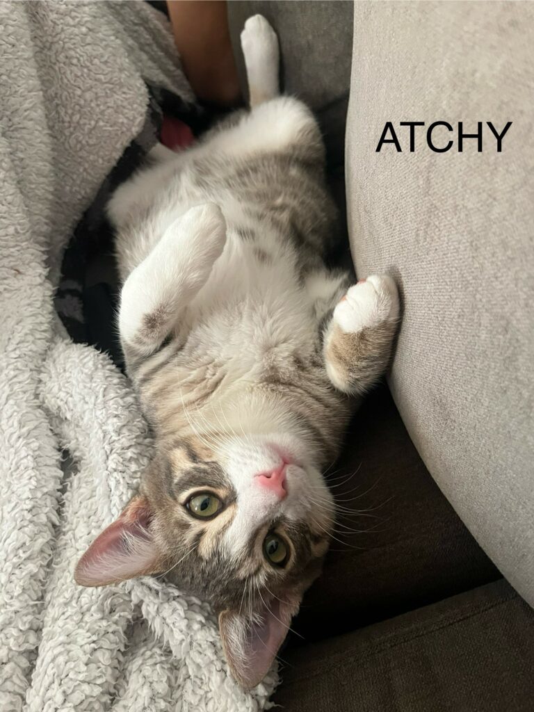 ATCHY