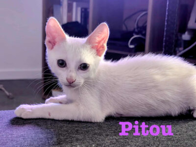 PITOU