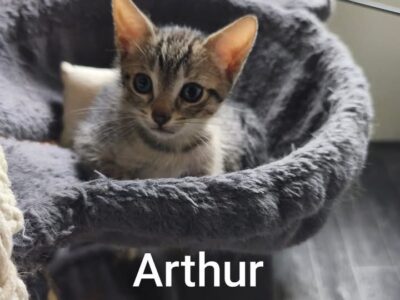 ARTHUR