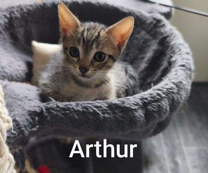 ARTHUR