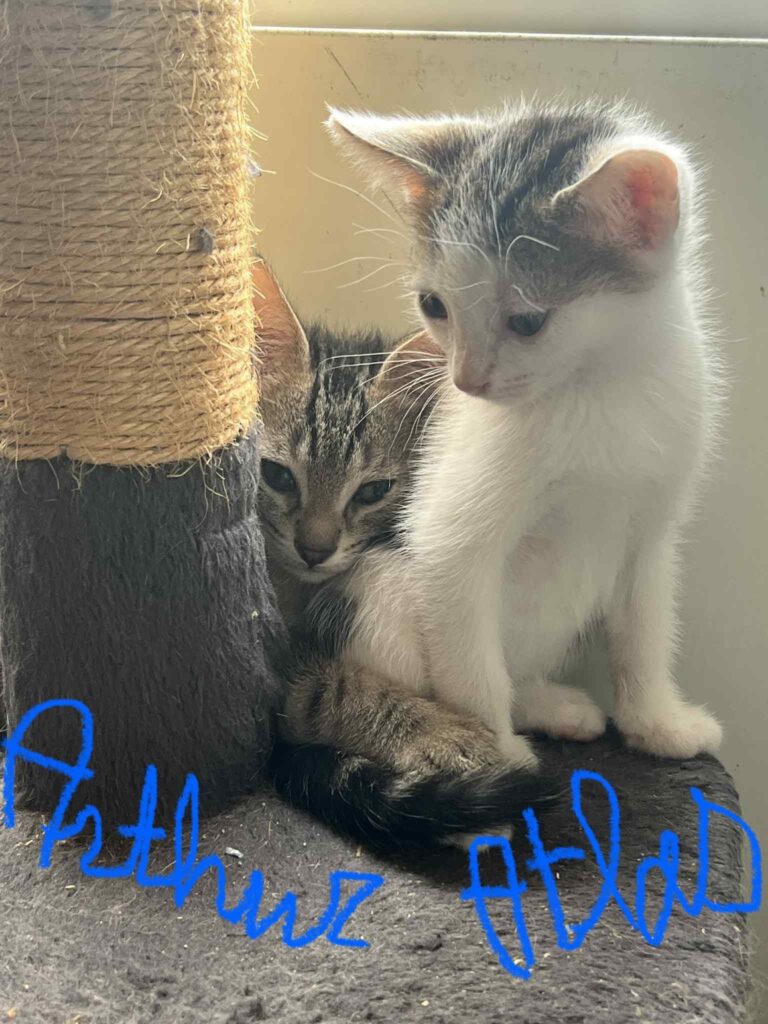 ARAMIS,ARTHUR,ATLAS