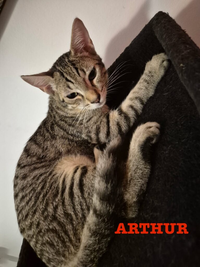 ARTHUR