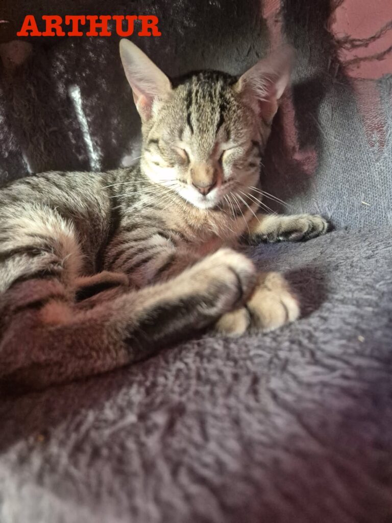 ARTHUR