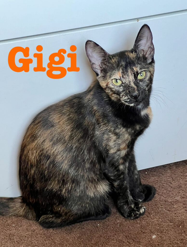 GIGI