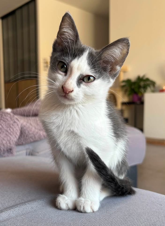LUNA