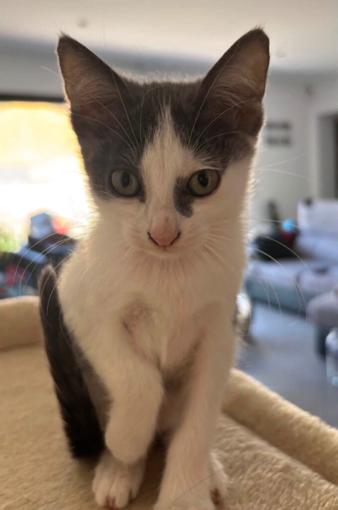LUNA
