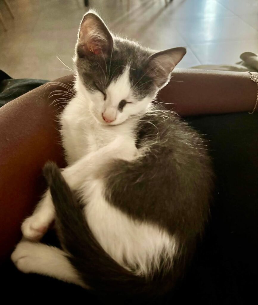LUNA