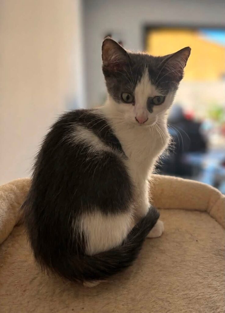 LUNA
