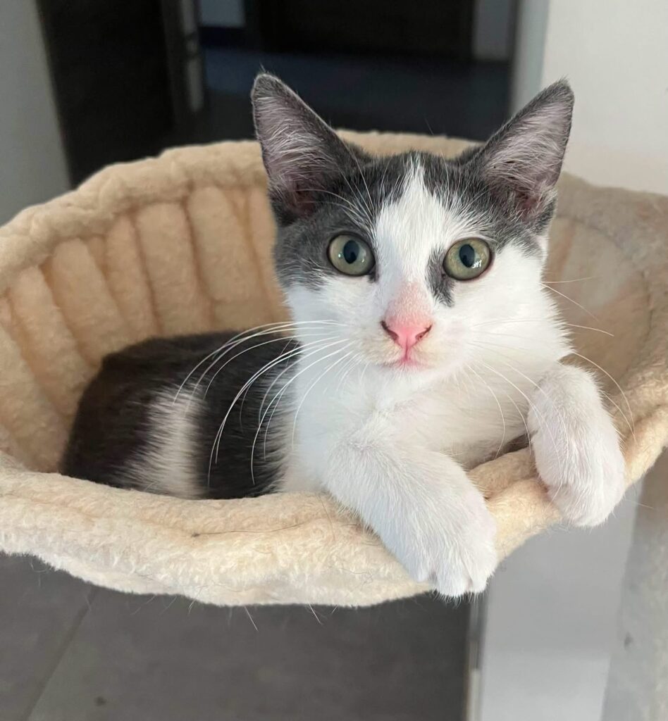 LUNA