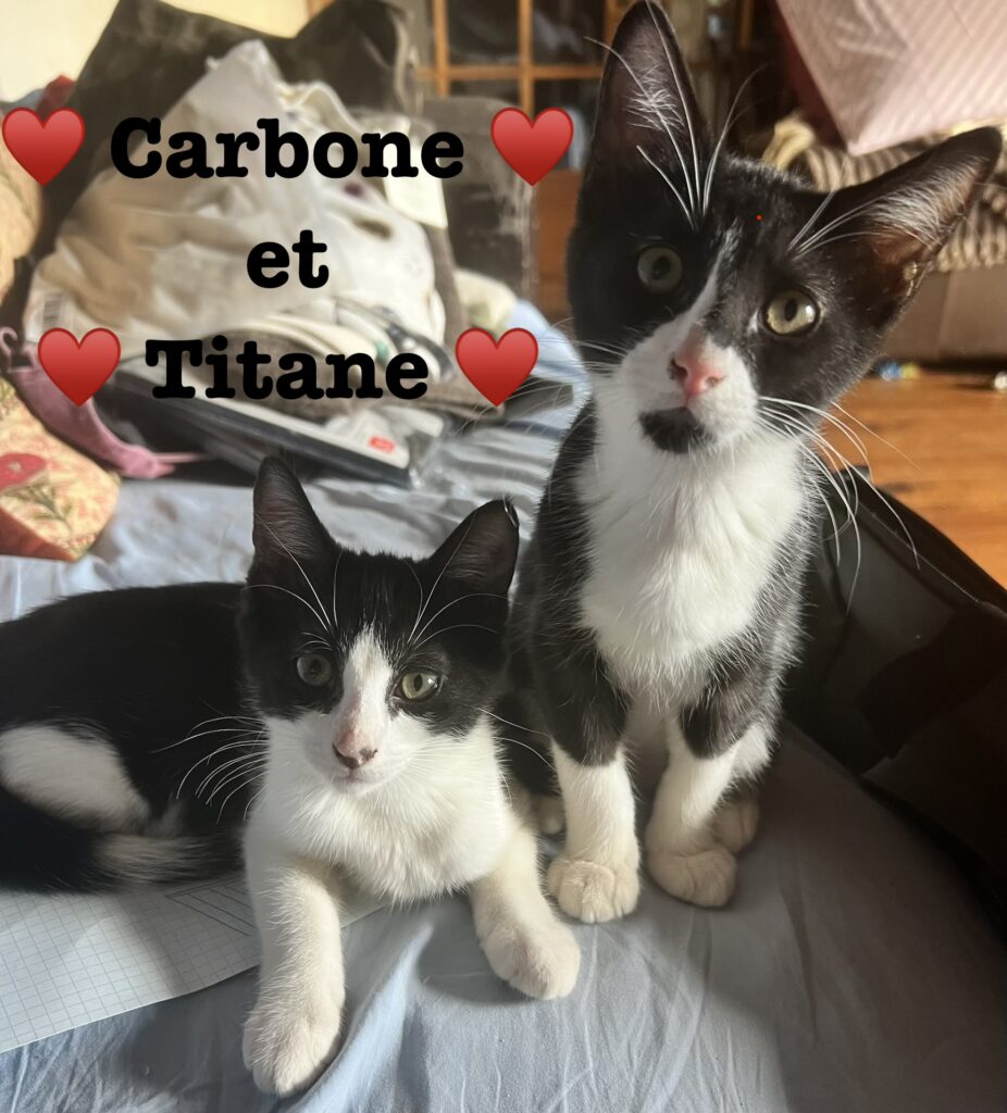 CARBONE ET TITANE