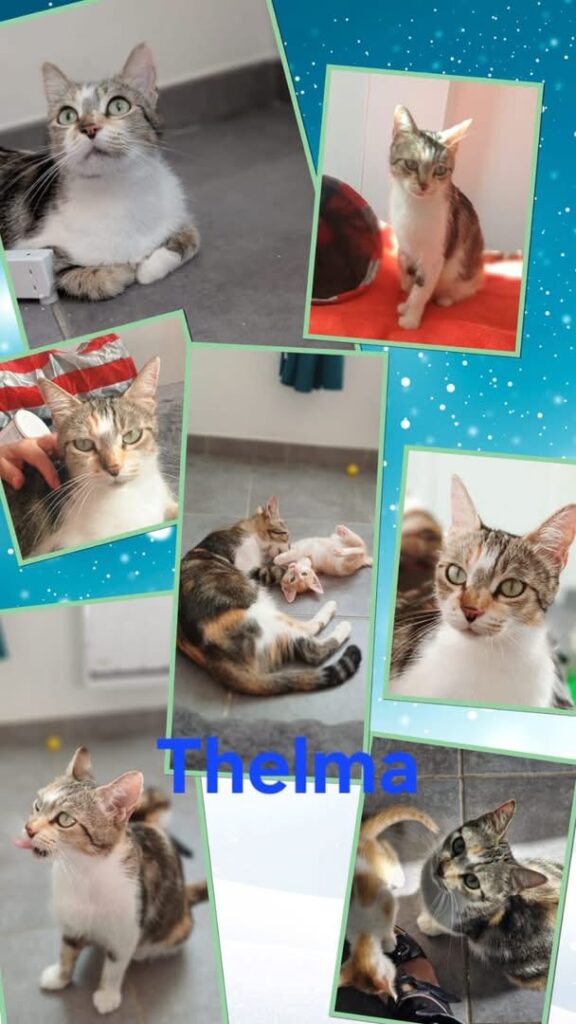 THELMA