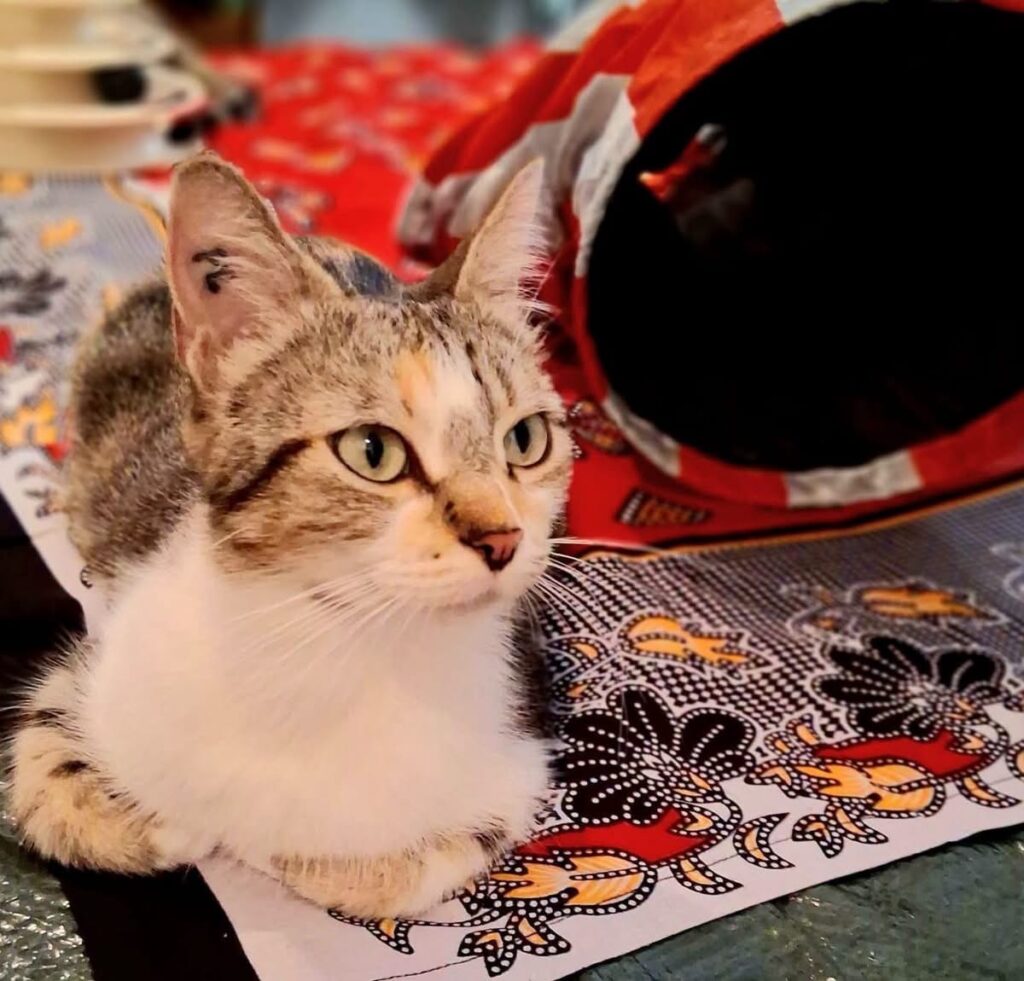 THELMA
