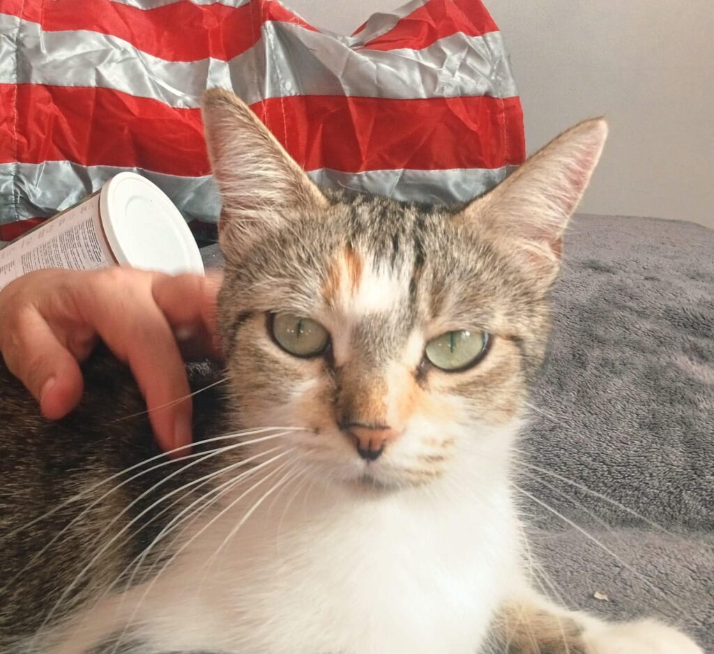 THELMA