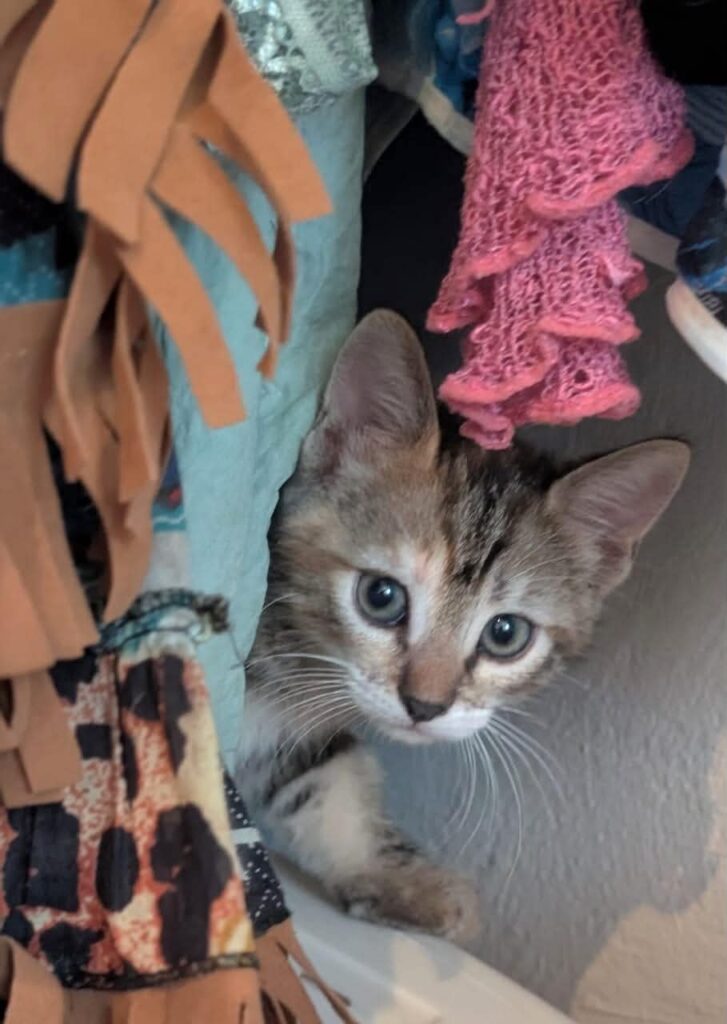 MELBA