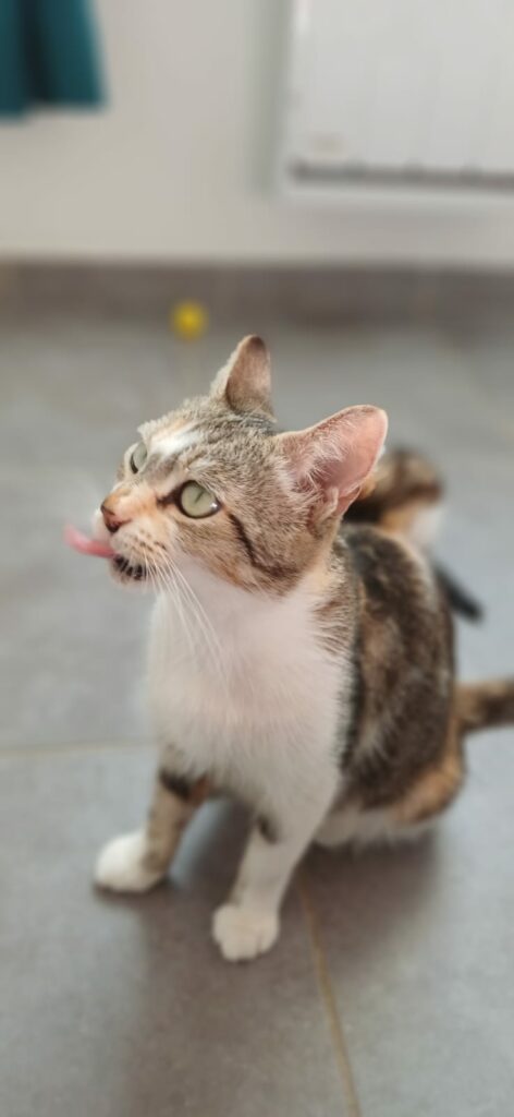THELMA